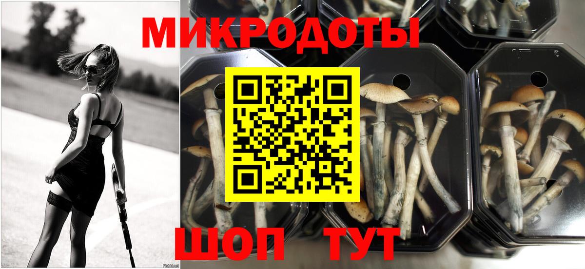 Псилоцибиновые грибы ЛСД Сланцы