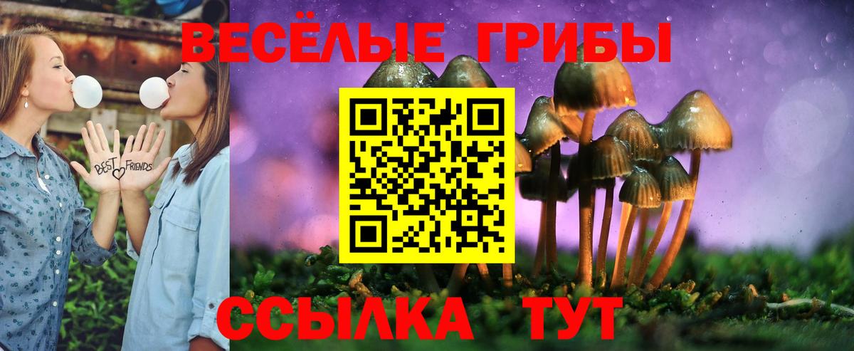 Псилоцибиновые грибы Psilocybine cubensis  Вход с VPN  Сланцы 