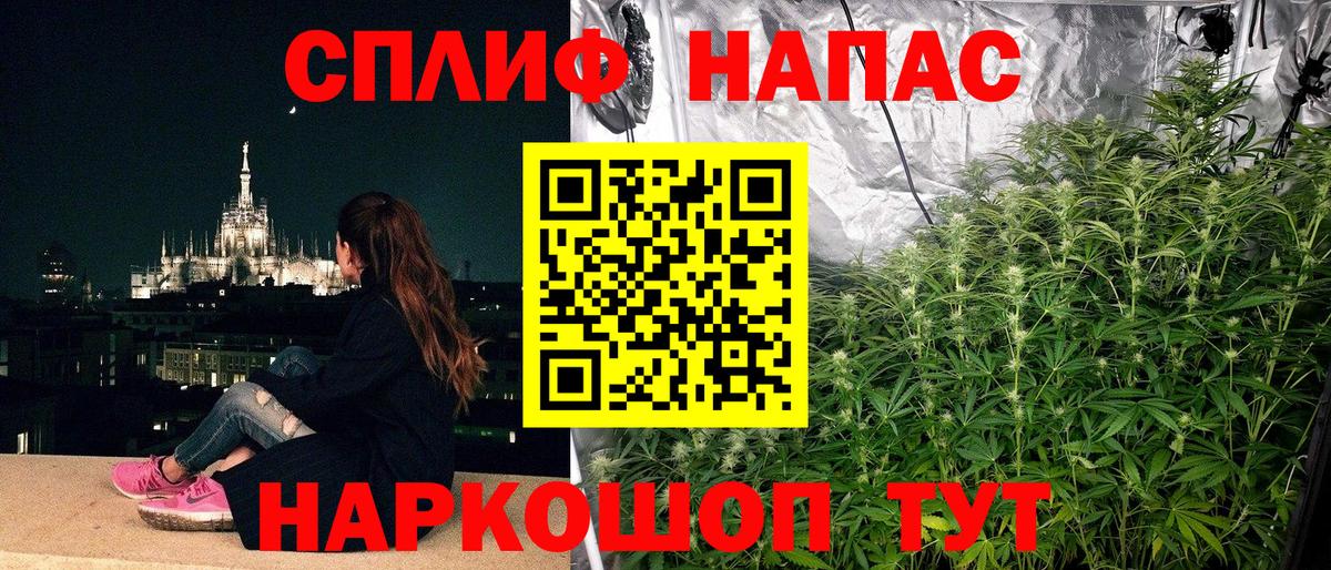 МАРИХУАНА марихуана  МАРИХУАНА гибрид  Шишки марихуана White Widow  Сланцы  МАРИХУАНА семена  Вход с VPN 